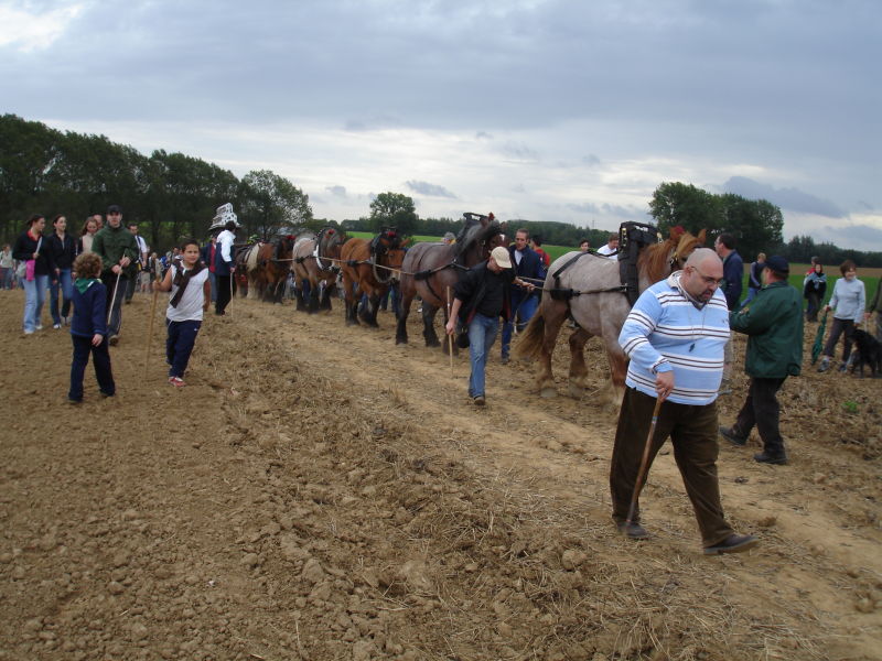 Tour 2006 - Auf dem Feld.jpg